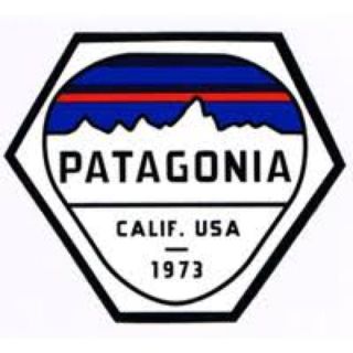 パタゴニア(patagonia)のパタゴニア ステッカーです(登山用品)