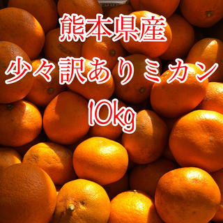 熊本県産 少々訳あり ミカン10kg  (フルーツ)