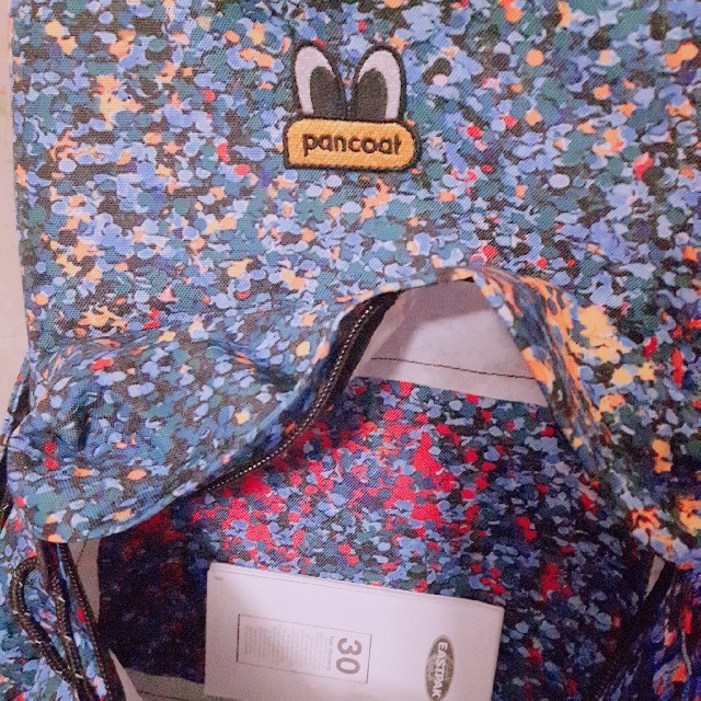 EASTPAK(イーストパック)の韓国リュック　Pancoat×Eastpak コラボリュック レディースのバッグ(リュック/バックパック)の商品写真