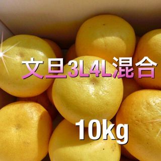 (みっくねーさん様)高知土佐文旦（大玉４Ｌ〜３Ｌ) 10kg ×2箱(フルーツ)