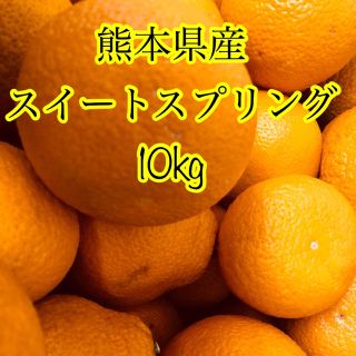 熊本県産 スイートスプリング 10kg  (フルーツ)