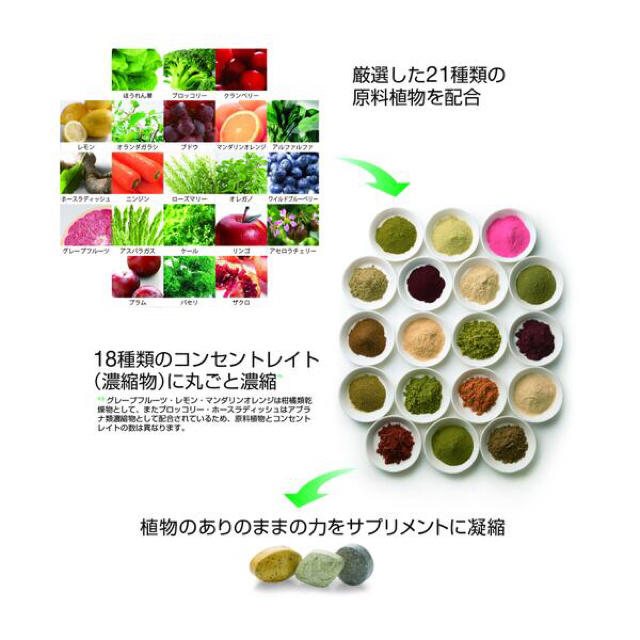 ニュートリライト - Nutrilite - JapaneseClass.jp