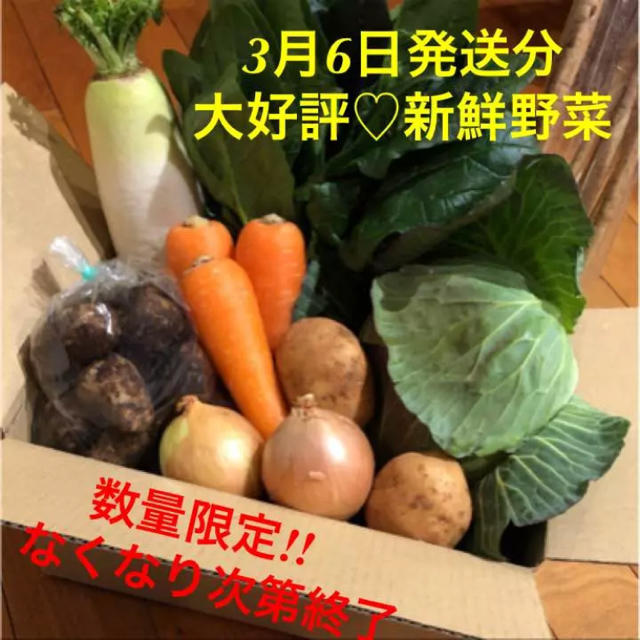 おまかせ新鮮野菜詰め合わせ♡80サイズ 3月6日発送分残りわずか!!即購入OK 食品/飲料/酒の食品(野菜)の商品写真