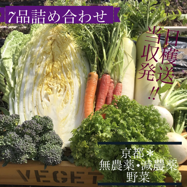 収穫、発送！無農薬、減農薬新鮮野菜 食品/飲料/酒の食品(野菜)の商品写真