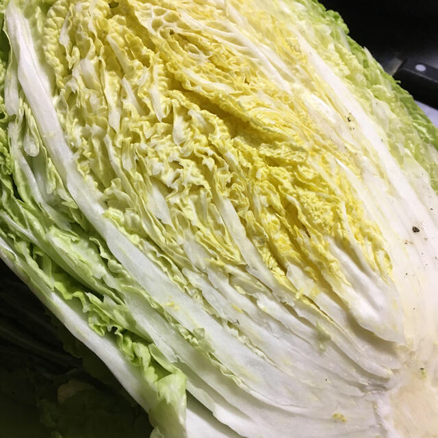 収穫、発送！無農薬、減農薬新鮮野菜 食品/飲料/酒の食品(野菜)の商品写真