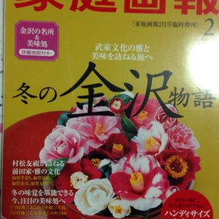 家庭画報2014年2月臨時増刊 ハンディサイズ(ファッション)