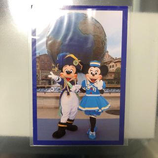 ディズニー(Disney)のポストカード(写真/ポストカード)