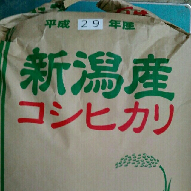 【精米無料!】新潟県長岡産コシヒカリ玄米　H29年度　20㎏大粒米20kg産地