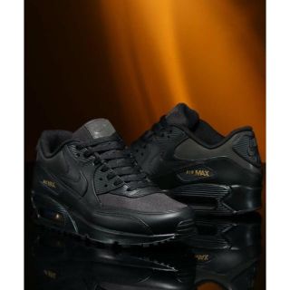 ナイキ(NIKE)の完売★別注 NIKE AIR MAX 90 PREMIUM 25.5cm(スニーカー)