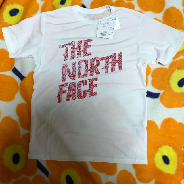 THE NORTH FACE(ザノースフェイス)のノースフェイス Tシャツ きゃおんさま メンズのトップス(Tシャツ/カットソー(半袖/袖なし))の商品写真