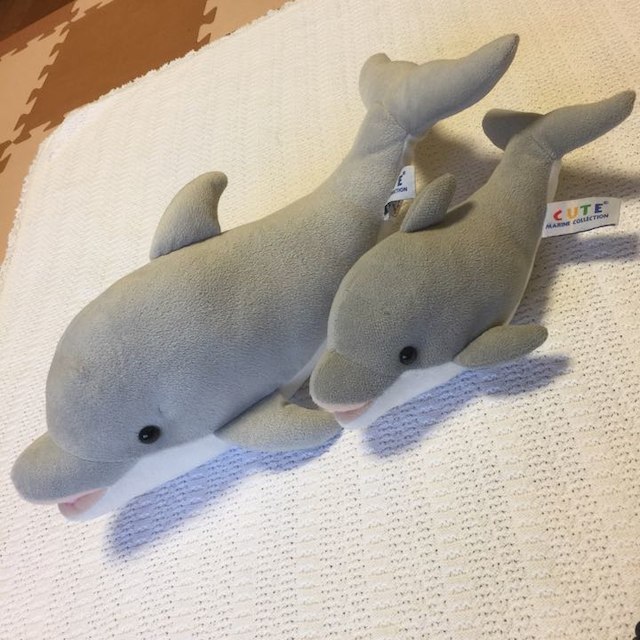 イルカのぬいぐるみ2個セット☆京都水族館 キッズ/ベビー/マタニティのおもちゃ(ぬいぐるみ/人形)の商品写真