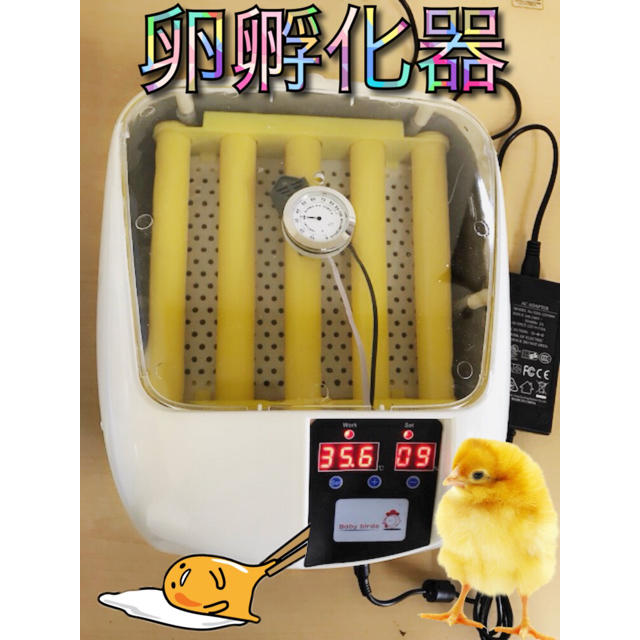 最終値下げ!LED 鳥類専用孵卵器 孵化器 ふ化器 インキュベーター 特売