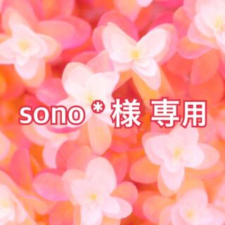 sono＊様 専用ページ(外出用品)