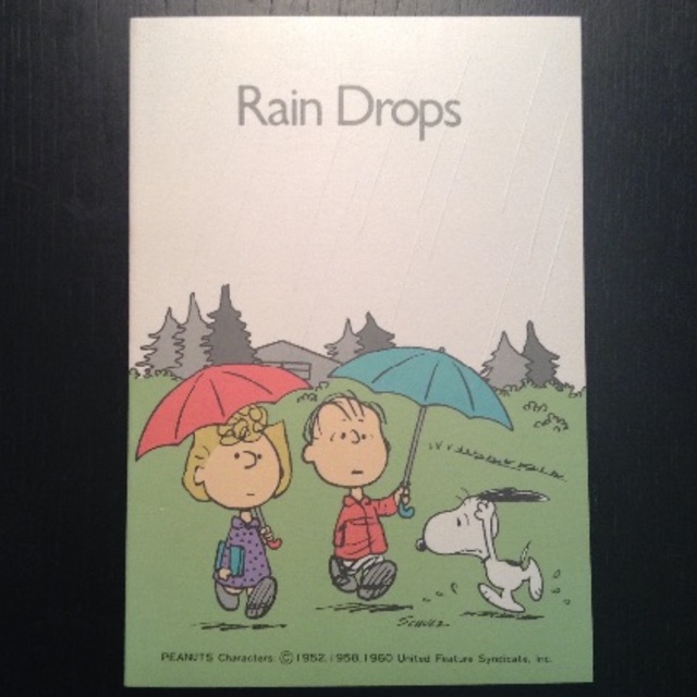 Snoopy Snoopy B6サイズのノートブック 雨の通販 By Tanq S Shop スヌーピーならラクマ