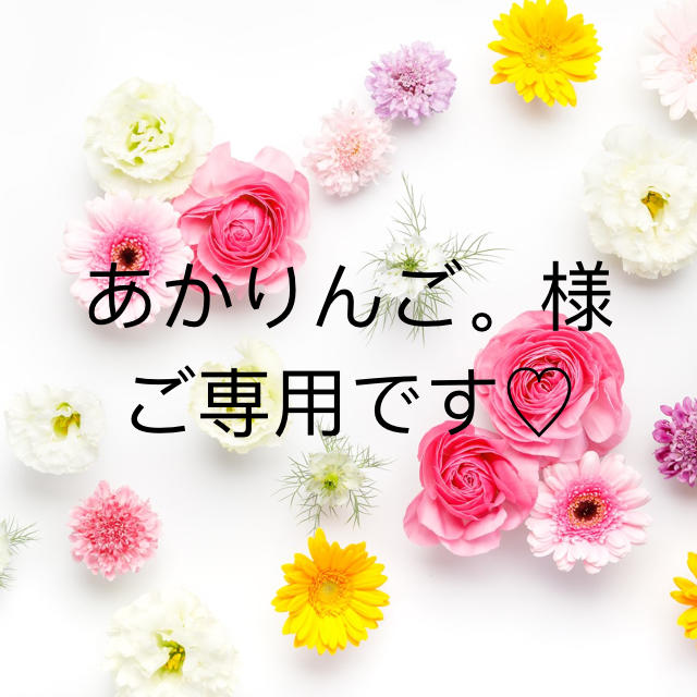 92%OFF!】 あかりんご様 thecarestaff.com