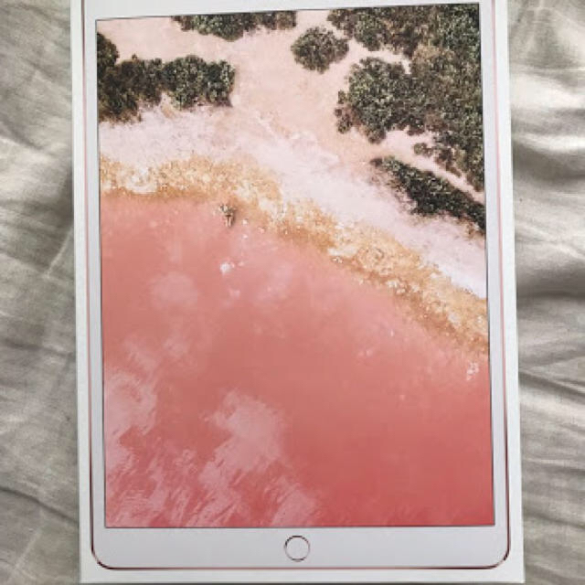 ☆決算特価商品☆ Wi-Fiモデル 10.5 iPadPro iPad 64GB 本日のみ ローズゴールド タブレット 第一世代 iPad Pro 10.5 64GB Wi-Fiモデル