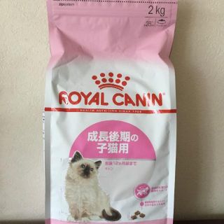 ロイヤルカナン(ROYAL CANIN)のロイヤルカナン キトン(ペットフード)