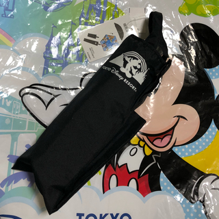 ディズニー(Disney)の定価 新品タグ付☆ 実写 傘 晴雨兼用 ディズニーリゾート(傘)