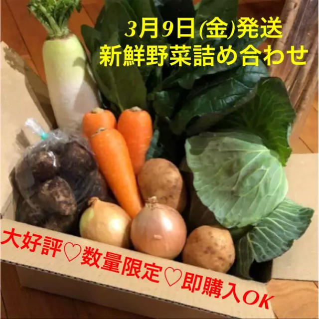 おまかせ新鮮野菜詰め合わせ 60サイズ 本日発送分 食品/飲料/酒の食品(野菜)の商品写真