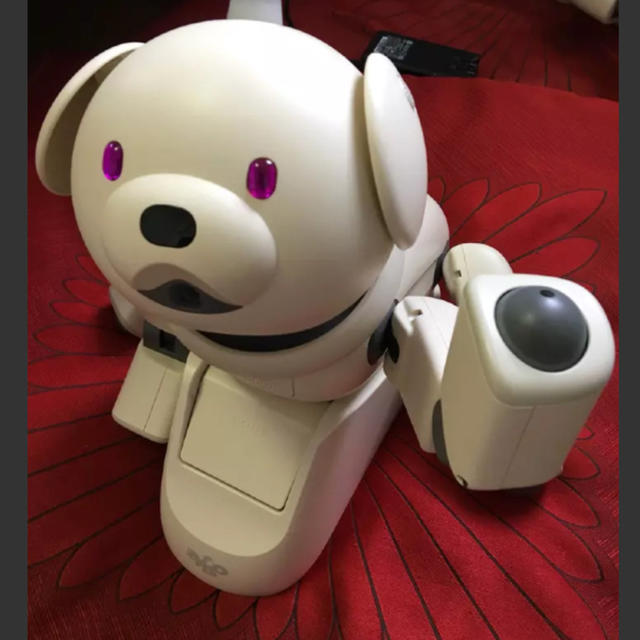 SONY - アイボ aibo ラッテ 値下げしましたの通販 by かずちゃん's shop｜ソニーならラクマ