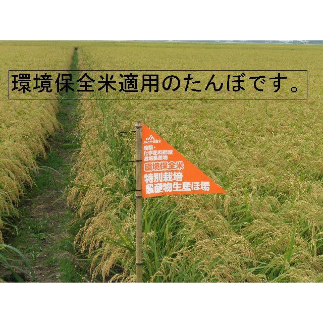 ★宮城県登米市豊里産米★農家直送２９年産新米★ひとめぼれ25ｋ白米★ 食品/飲料/酒の食品(米/穀物)の商品写真