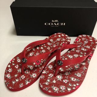 コーチ(COACH)の 新品  COACH  ビーチサンダル  7  24.5㎝(ビーチサンダル)