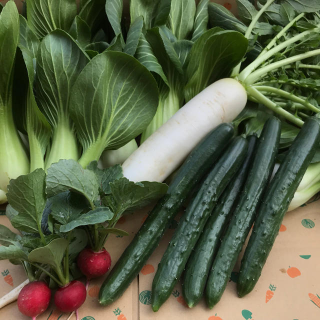 お野菜セット 食品/飲料/酒の食品(野菜)の商品写真