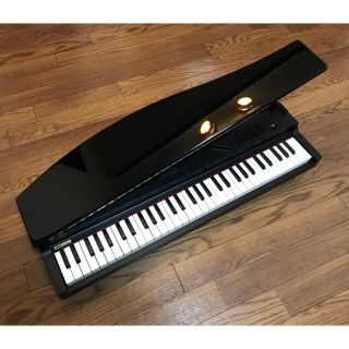 コルグ(KORG)のKORG MICRO PIANO(電子ピアノ)