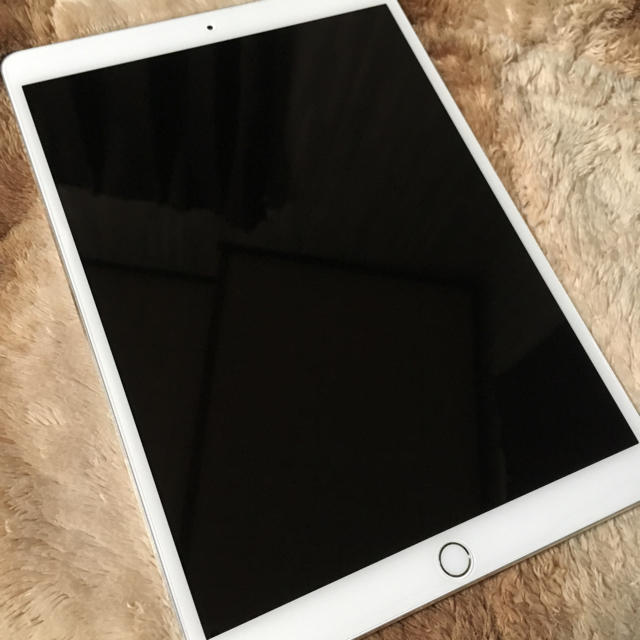iPad Pro 10.5インチ Apple Pencil iPad Pro 10.5インチ Apple Pencil