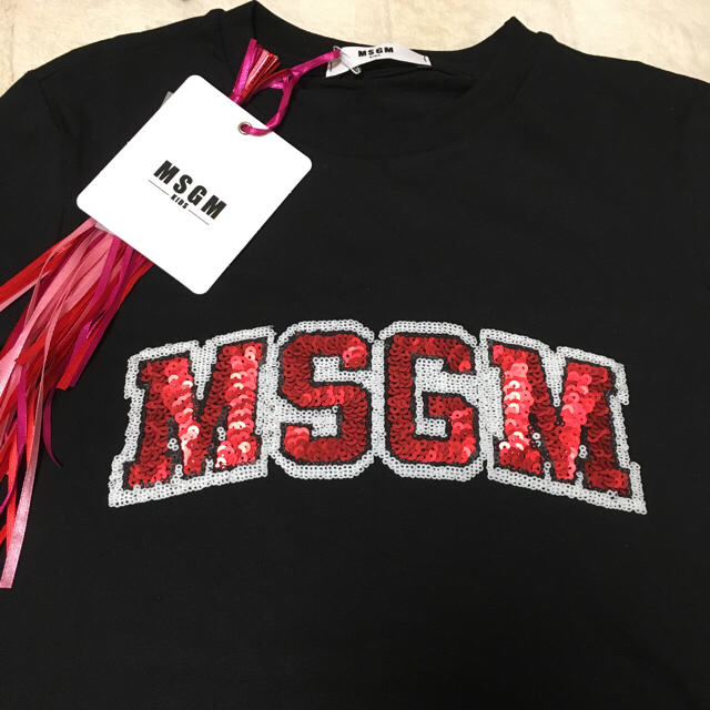 MSGM(エムエスジイエム)の2018SS✨ MSGM Tシャツ おまとめ購入♡ レディースのトップス(Tシャツ(半袖/袖なし))の商品写真