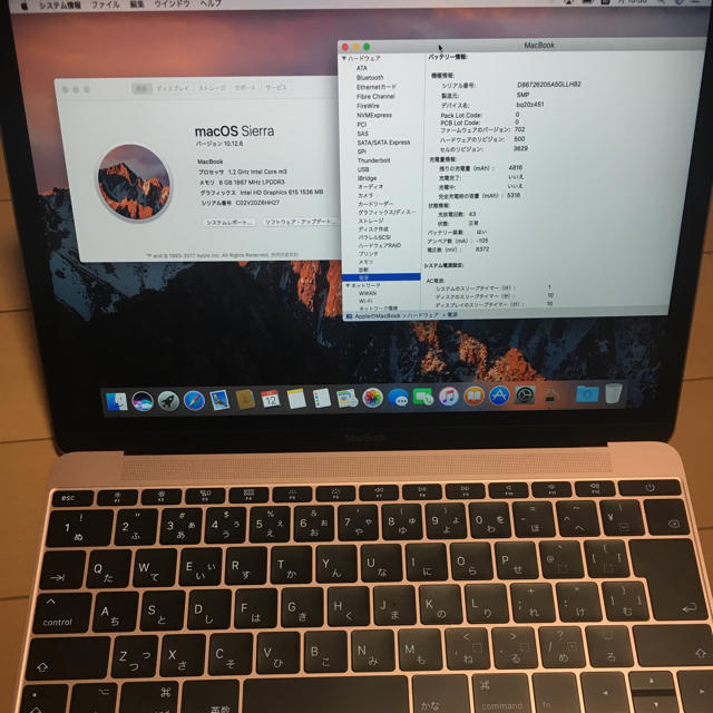 Mac (Apple) -  【充電回数43】MacBook 12インチ(Mid2017） 美品