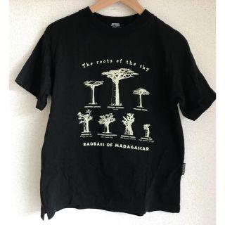 マダガスカル バオバブ Tシャツ XS(Tシャツ/カットソー(半袖/袖なし))