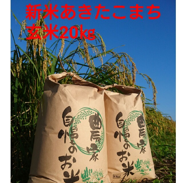 茨城29年産あきたこまち玄米20㎏食品/飲料/酒