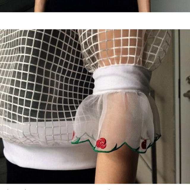 PAMEO POSE(パメオポーズ)のROSE NET TOPS レディースのトップス(カットソー(半袖/袖なし))の商品写真