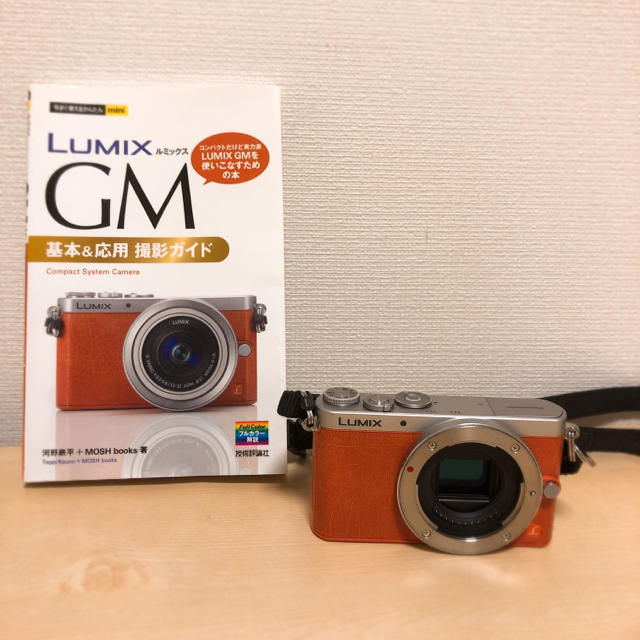 LUMIX GM1