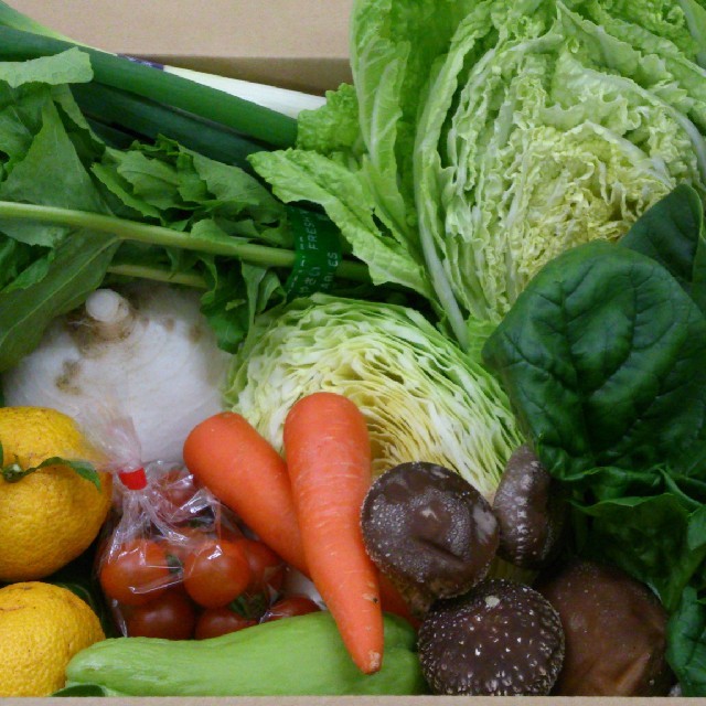 ☆わくわく80サイズ☆岡山産　新鮮野菜 食品/飲料/酒の食品(野菜)の商品写真