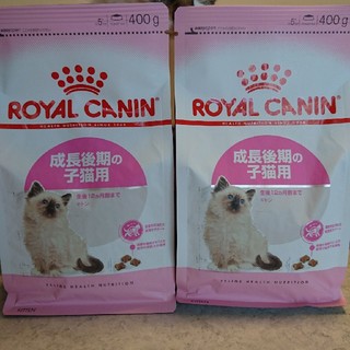 ロイヤルカナン(ROYAL CANIN)のgoushoko0523様専用 ROYAL CANIN 成長後期の子猫用 (猫)