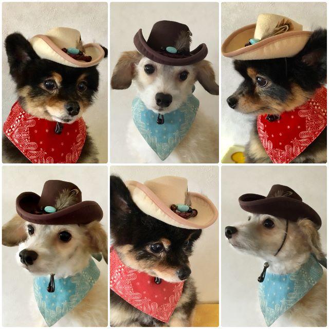ペットの帽子 カウボーイハット 犬 猫 コスプレに！の通販 by lunaris's shop｜ラクマ