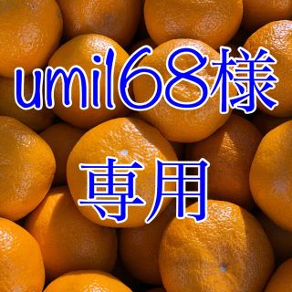 umi 168様 専用 ミカン20kg (フルーツ)