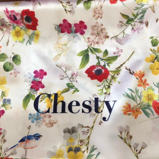 Chesty(チェスティ)のchesty 巾着 レディースのファッション小物(その他)の商品写真