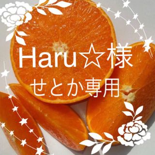 Haru☆様☆せとか20キロ(フルーツ)