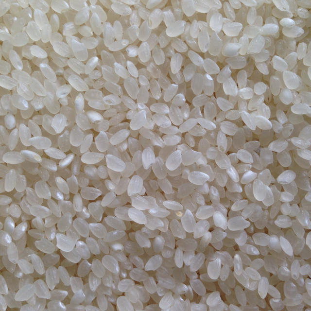 新米コシヒカリ玄米10㎏ 食品/飲料/酒の食品(米/穀物)の商品写真