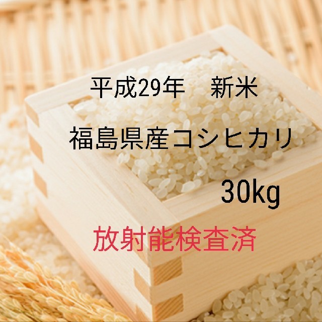 Masa様専用！福島県産新米コシヒカリ玄米30kgの通販 by むむむぅち's shop｜ラクマ
