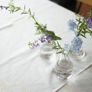 イッタラ(iittala)の✳︎美品✳︎Holmegaard✳︎Flora ベース✳︎ミディアムクリア(花瓶)