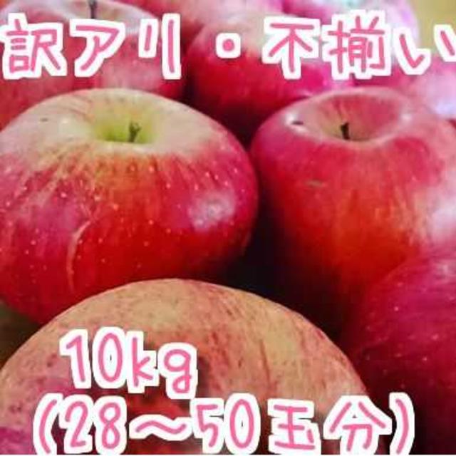 りんご　訳アリ　10kg　不揃い　農家 食品/飲料/酒の食品(フルーツ)の商品写真