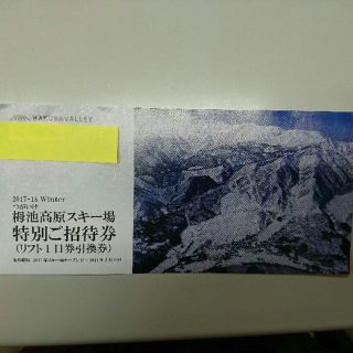 【Apple様専用】栂池高原スキー場 特別ご招待 リフト１日券引換券(その他)