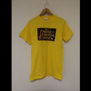 ビームス(BEAMS)のDisney'sAnimalKingdomLodge(USA)ビンテージTシャツ(Tシャツ/カットソー(半袖/袖なし))