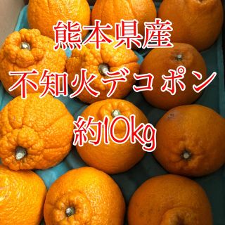 熊本県産 不知火デコポン 約10kg  (フルーツ)