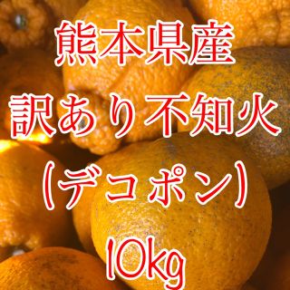 熊本県産 不知火デコポン約10kg  訳あり品！(フルーツ)