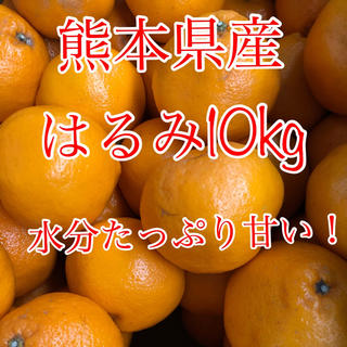 熊本県産 はるみ10kg (フルーツ)